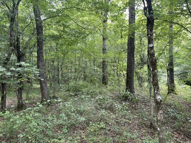 The Location & Access: This property consists of 65 acres in - photo 50