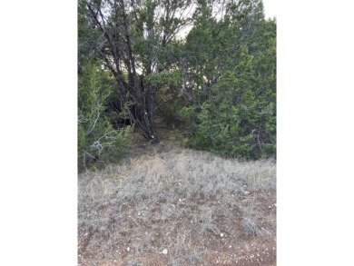 Lake Whitney Lot For Sale in Whitney Texas