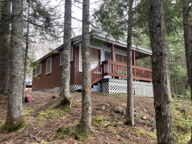 Lake Home For Sale in T9 R3 Wels, Maine