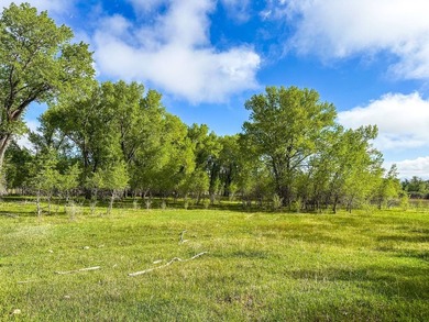 Welcome to Cristo Vista Ranch, an exceptional 820+/- acre large - photo 8