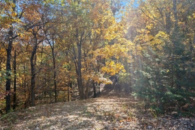 Looking for rural, secluded lake area living? This 3.75 acre - photo 11