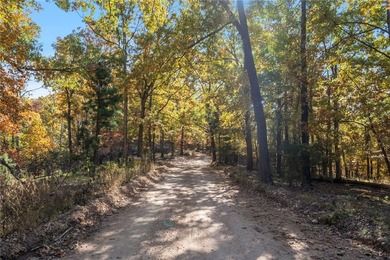 Looking for rural, secluded lake area living? This 3.75 acre - photo 12
