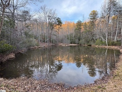 Privacy and solitude abound with this exceptional homesite in - photo 2