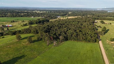 Midwest Land Group is pleased to present the Mossy Rock Ranch - photo 17