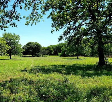 (private lake, pond, creek) Acreage Active Under Contract in Covington Texas