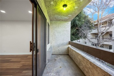 Welcome to 600 W 3rd Street, Unit B205, a fully remodeled - photo 23