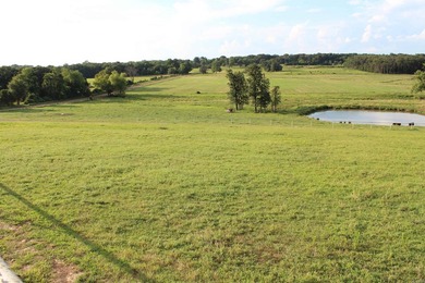Midwest Land Group is pleased to present the Mossy Rock Ranch - photo 25