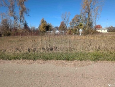 Lake Lot For Sale in Camden, Michigan