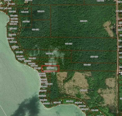 Charming Walloon Peninsula Fixer-Upper with Protected Privacy & - photo 4