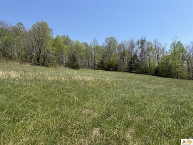 ATTENTION UNLIMITED POSSIBILITIES! 4 CABINS/2 FURNISHED/2 LOTS! - photo 43