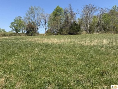 ATTENTION UNLIMITED POSSIBILITIES! 4 CABINS/2 FURNISHED/2 LOTS! - photo 44