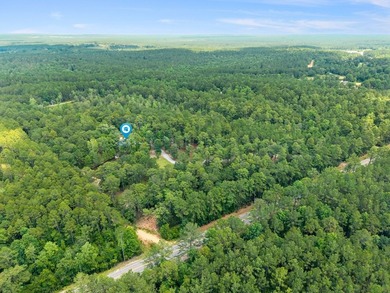 Location location location!!! Charming 4BR/2BA country home - photo 48