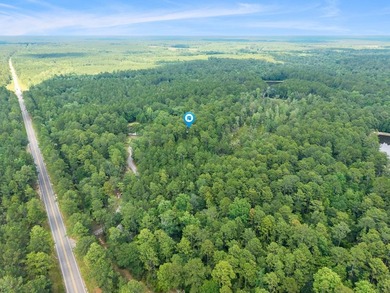 Location location location!!! Charming 4BR/2BA country home - photo 49