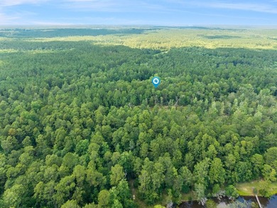Location location location!!! Charming 4BR/2BA country home - photo 50