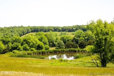 Lake Acreage For Sale in Iberia, Missouri