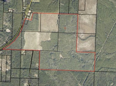 (private lake, pond, creek) Acreage For Sale in Laurel Hill Florida