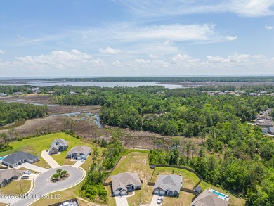 Welcome to your private retreat in the sought-after Palmetto - photo 20