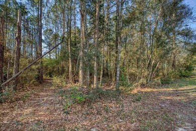 Priced to sell! Build your dream home on this beautiful - photo 7