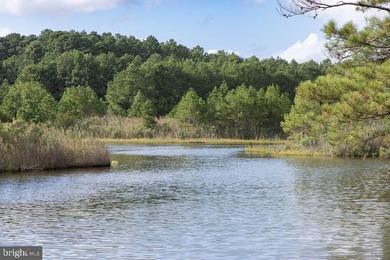 New limited time incentive - offering $500k allowance toward - photo 31