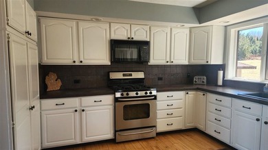 Absolutely stunning views of Lake Charlevoix! Located at the end - photo 5