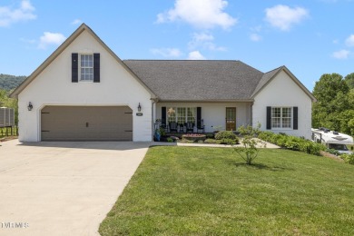 Lake Home For Sale in Rogersville, Tennessee