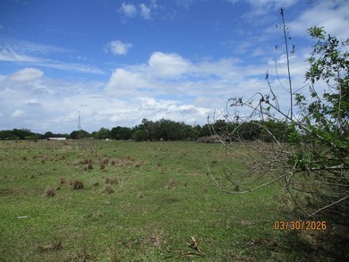 13.93 vacant acres in Moore Haven, FL. Property is fully fenced - photo 1