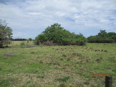 13.93 vacant acres in Moore Haven, FL. Property is fully fenced - photo 6