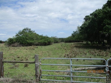 13.93 vacant acres in Moore Haven, FL. Property is fully fenced - photo 7