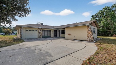 Weeki Wachee Lake Home For Sale in Spring Hill Florida