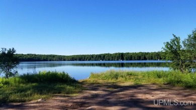 Lake Acreage For Sale in Bates, Michigan