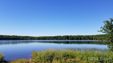 3.6-acre lot with over 800 feet of frontage on Wildwood Lake! A - photo 3