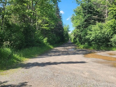 3.6-acre lot with over 800 feet of frontage on Wildwood Lake! A - photo 4