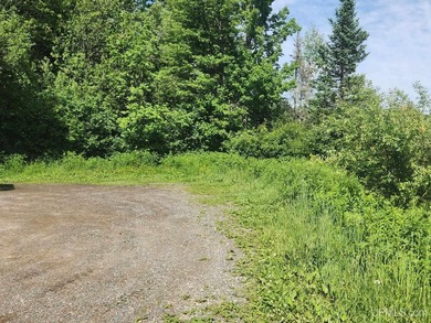 3.6-acre lot with over 800 feet of frontage on Wildwood Lake! A - photo 5