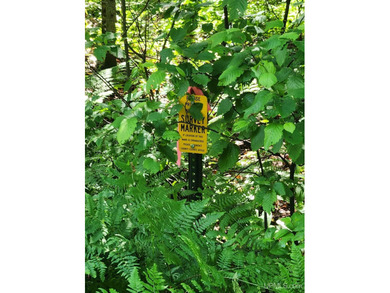 3.6-acre lot with over 800 feet of frontage on Wildwood Lake! A - photo 6