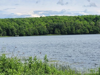 3.6-acre lot with over 800 feet of frontage on Wildwood Lake! A - photo 7