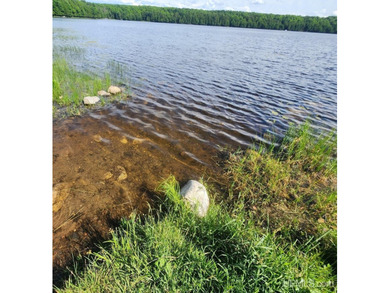 3.6-acre lot with over 800 feet of frontage on Wildwood Lake! A - photo 8