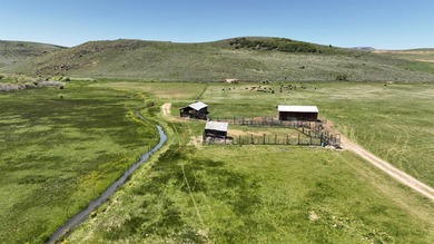 Irrigated Pasture with Half Mile of HWY 89 Frontage Near Bear - photo 3