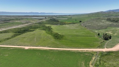 Irrigated Pasture with Half Mile of HWY 89 Frontage Near Bear - photo 6