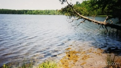 Lake Acreage For Sale in Bates, Michigan