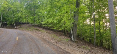 Lake Acreage For Sale in Mooresburg, Tennessee