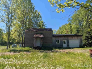 Lake Superior - Ontonagon County Home For Sale in Ontonagon Michigan