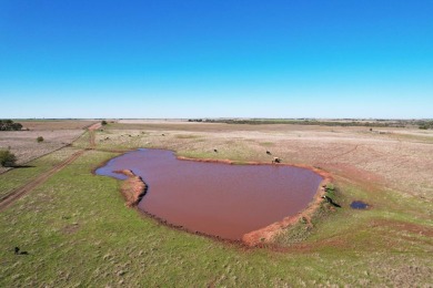 (private lake, pond, creek) Acreage For Sale in Temple Oklahoma