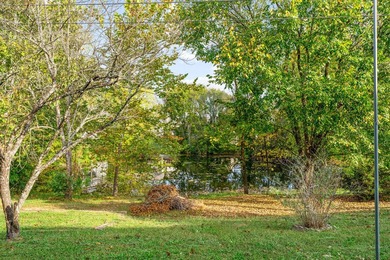 Freshly Updated!! Experience energy-efficient living in this - photo 28