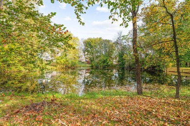Freshly Updated!! Experience energy-efficient living in this - photo 29