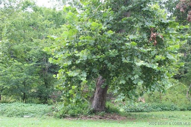 Lake of the Ozarks Lot For Sale in Laurie Missouri