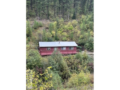 Lake Home For Sale in Gibbonsville, Idaho