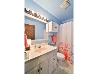 You will not want to miss this stunning three bedroom, three - photo 33