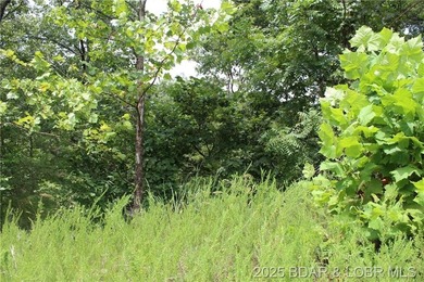 Build Your Dream Home in Woodhaven Estates! Don't miss this - photo 4
