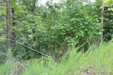 Build Your Dream Home in Woodhaven Estates! Don't miss this - photo 5