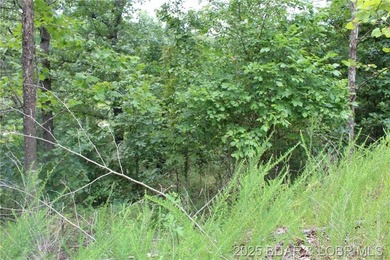 Build Your Dream Home in Woodhaven Estates! Don't miss this - photo 5